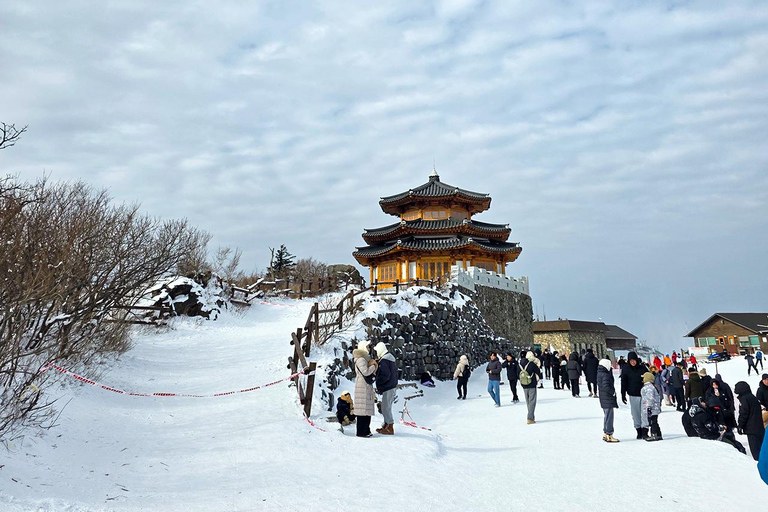 Busan: Muju Winter Hiking & Scenic Resort Day Trip C. Ski & Board Tour (Equipment Only) 7years▲