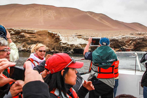 Full Day Paracas + Nasca Lines Overflight from Pisco