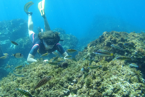 La Herradura : excursion en kayak et plongée en apnée dans le parc naturel de Cerro Gordo