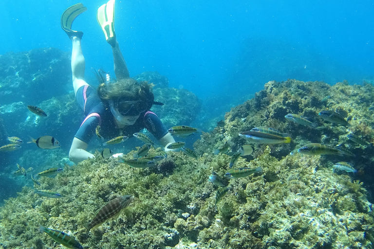 La Herradura: Cerro Gordo Natural Park Kayak &amp; Snorkel Tour