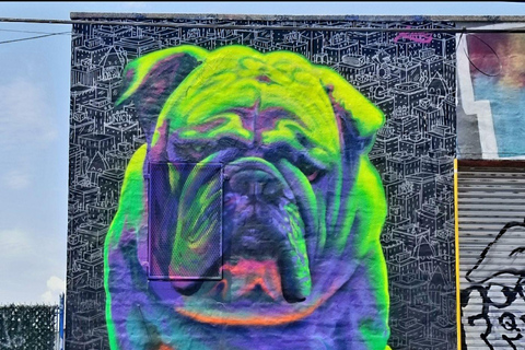 NYC Contrasten Tour Harlem, Bronx, Williamsburg, Queens &amp; Brooklyn