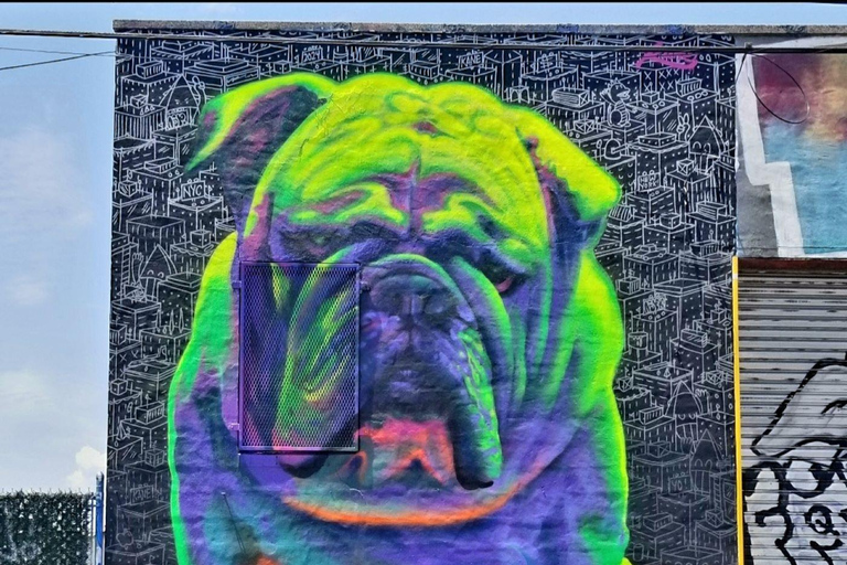 NYC Contrasten Tour Harlem, Bronx, Williamsburg, Queens &amp; Brooklyn