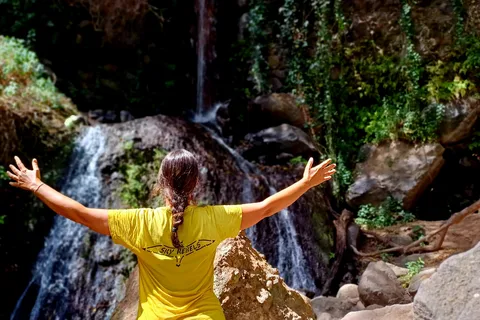 Maspalomas: Barranco de los Cernicalos Rainforest Hike