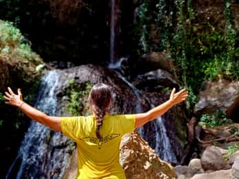 Maspalomas: Barranco de los Cernicalos Rainforest Hike