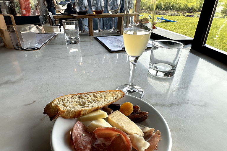 Lunch in the Vineyard: A Scenic Niagara Wine Tour Experience