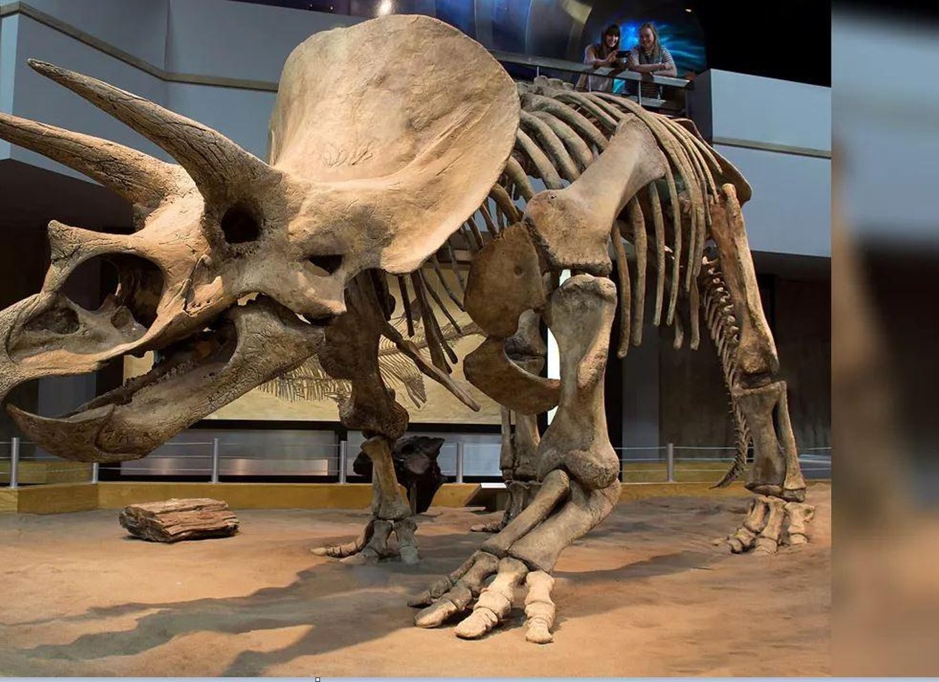 Badlands-tur: Drumheller med museum, hoodoos og dinosaurer