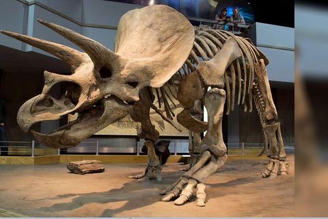 Badlands Tour: Drumheller with Museum, Hoodoos & Dinosaurs Booking Option for Summer 2026