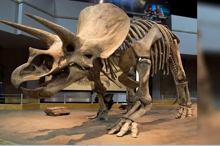 Badlands Tour: Drumheller with Museum, Hoodoos & Dinosaurs Booking Option for Summer 2026