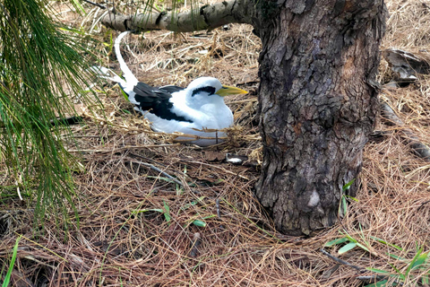 Grand Baie: Northern Isles Catamaran & Tropical BBQ