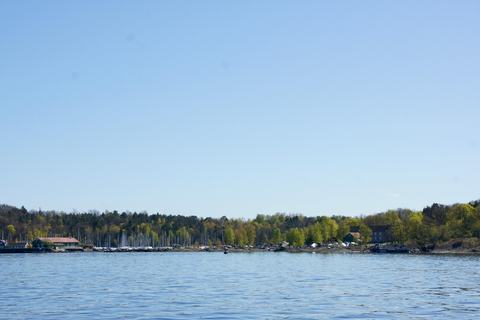 Oslo: Fjord, Birds and Footprints from the Past Cruise