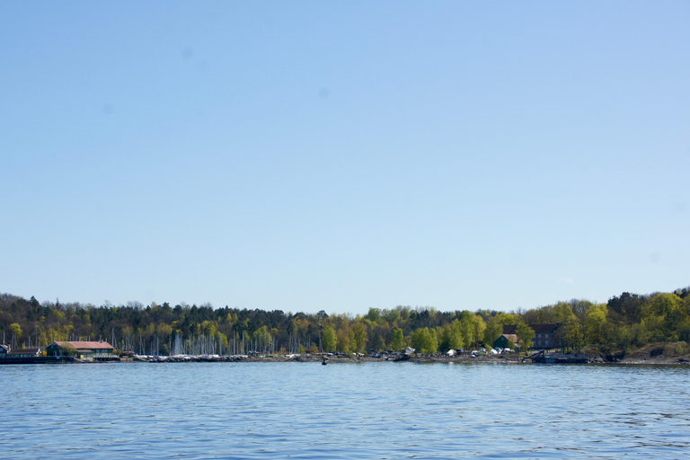 Oslo: Fjord, Birds and Footprints from the Past Cruise