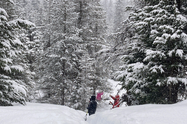 Guided Snowshoeing Adventure from Seward, Alaska 6-Hour Tour
