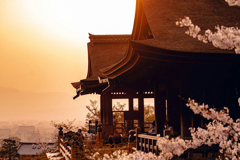 VANUIT KYOTO/NARA: Hoogtepunt op maat reis met ophaalservice vanaf je hotel