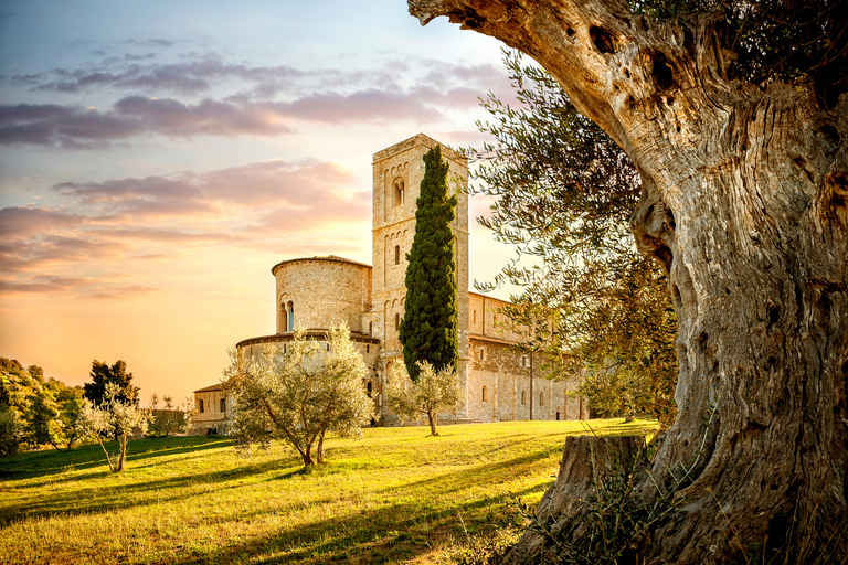 Florence: Monteriggioni & Val d'Orcia Optional Wine Tasting Classic Option in Portuguese