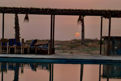 Marrakech: Agafay Camel Ride, Pool & Lunch or Dinner Show Evening Sunset Camel Ride & Pool & Dinner Show