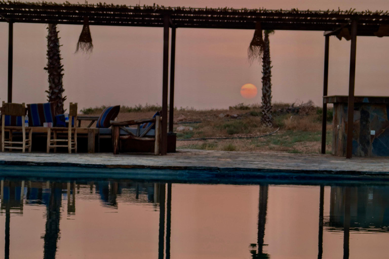 Marrakech: Agafay Camel Ride, Pool & Lunch or Dinner Show Evening Sunset Camel Ride & Pool & Dinner Show