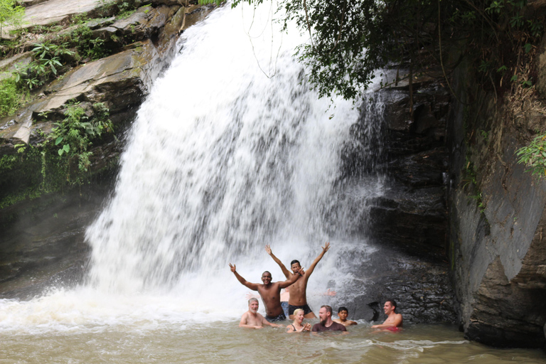 Chiang Mai: One Day Eco-Trek, Elephant care & Bamboo Rafting