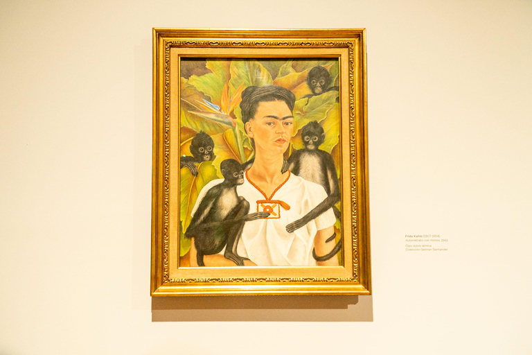 Mexico City: Modern Art Museum with Art Experts