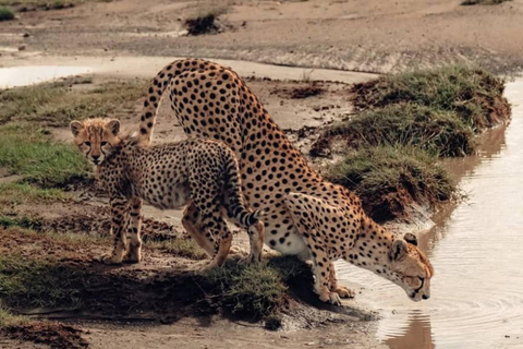 7-Day Best of Tanzania and Kenya Safari