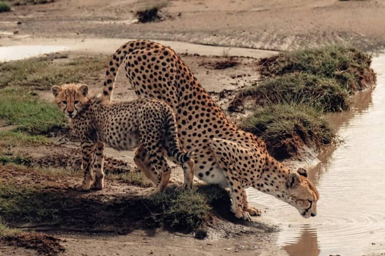 7-Day Best of Tanzania and Kenya Safari