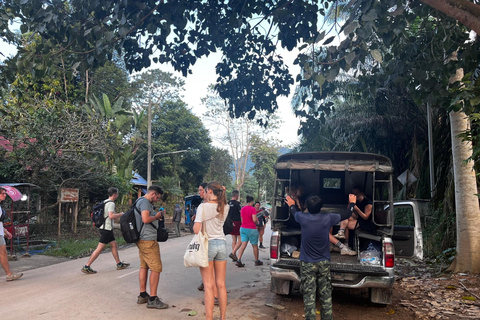 Chiang Rai: Jungle Adventure-Group Trekking & Bamboo Cooking