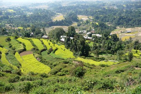 Lever de soleil à Nagarkot avec randonnée au Changunarayan et visite de Bhaktapur