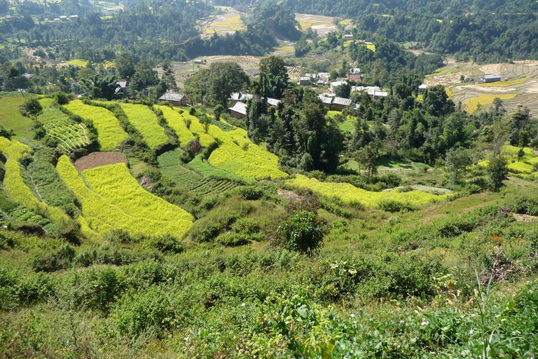 Lever de soleil à Nagarkot avec randonnée au Changunarayan et visite de Bhaktapur