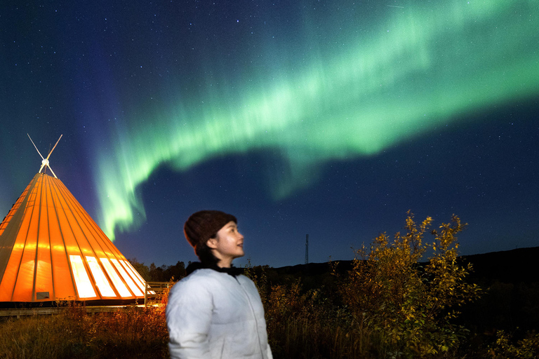 From Narvik: The Northern Lights Arctic Train Guided Tour
