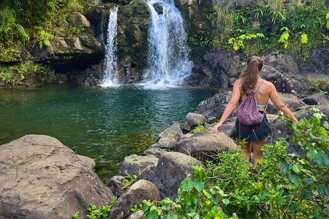 Maui Sea Turtles & Waterfalls: Full-Day Road to Hana Tour