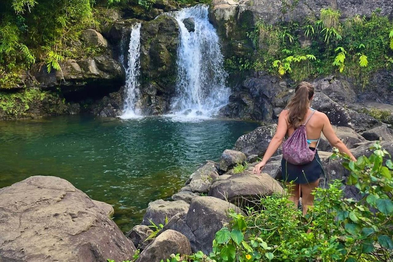 Maui Sea Turtles & Waterfalls: Full-Day Road to Hana Tour