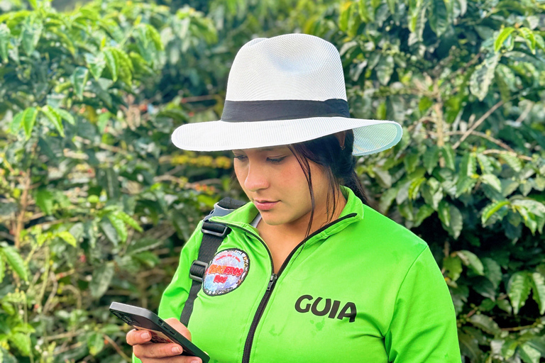 Medellín: Kaffeefarm-Tour – Probiere die Geschichten der SierraSpanisch