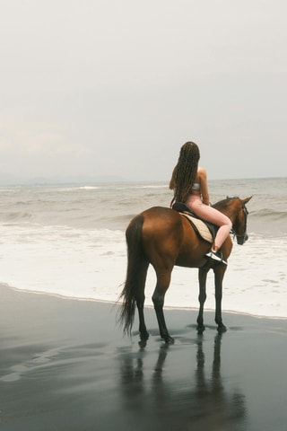 Auckland: Luxury Beach & Forest Horseback Ride
