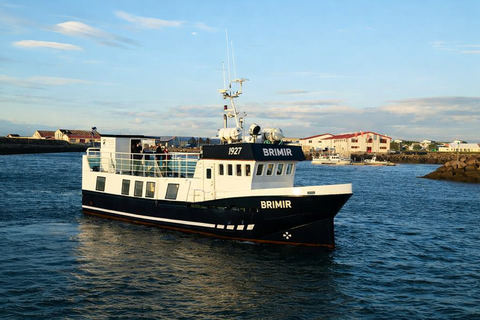 Whale Watching from Akureyri - Small Group Tour (Hjalteyri)
