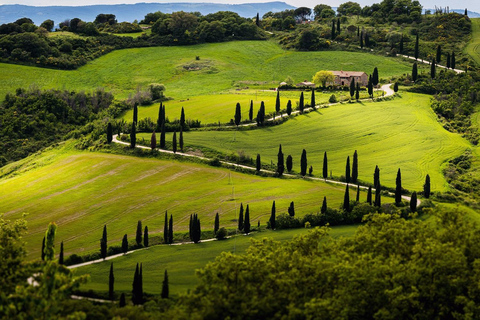 Excursão de 1 dia pela Toscana: Pisa, Lucca, degustação e refeição em uma vinícola de Chianti