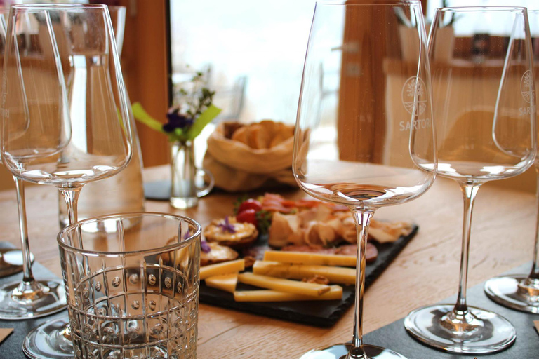 Ledro Lake: Guided Tour & Wine Tasting Among the Vines English