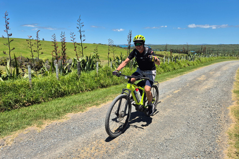 Auckland | Rangitoto & Motutapu Islands Guided eBike & Ferry