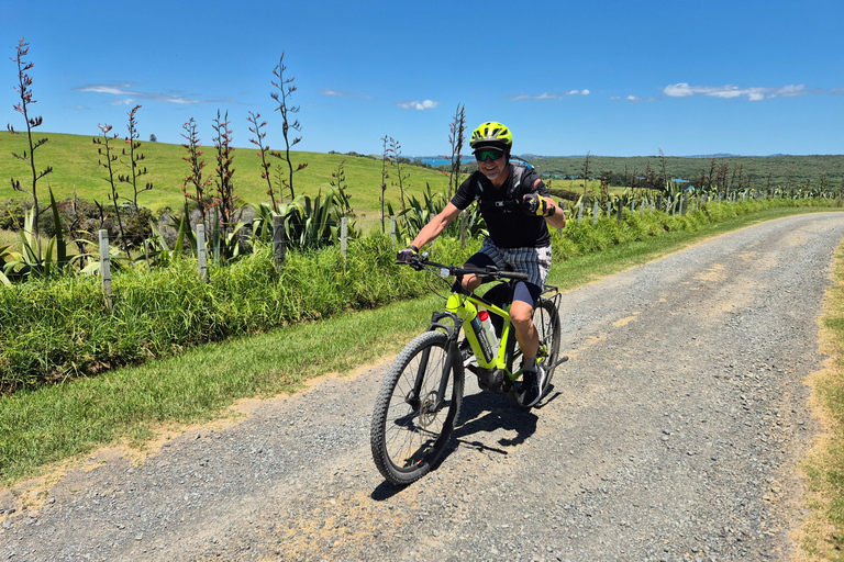 Auckland | Rangitoto & Motutapu Islands Guided eBike & Ferry
