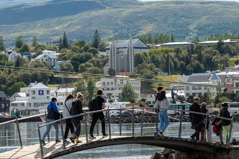 Från Akureyri hamn: Stadsvandring och lokal matFrån Akureyri hamn: Stadsvandring med provsmakning av lokal mat