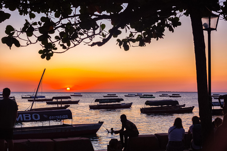 Paje: Privé Transfers van Stone Town naar PajePaje Zanzibar: Privétransfers naar Paje vanuit Stone Town