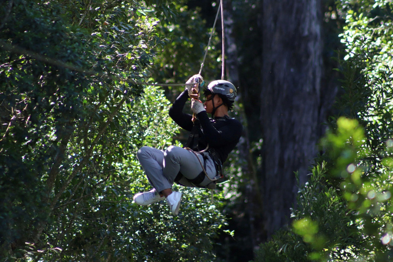 Fiume delle Tempeste: Tour con la zipline del Parco Nazionale di Tsitsikamma