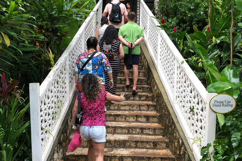 鲍勃·马利九英里之旅（从蒙特哥贝和法尔茅斯出发）鲍勃·马利9英里之旅（从蒙特哥贝和法尔茅斯出发）