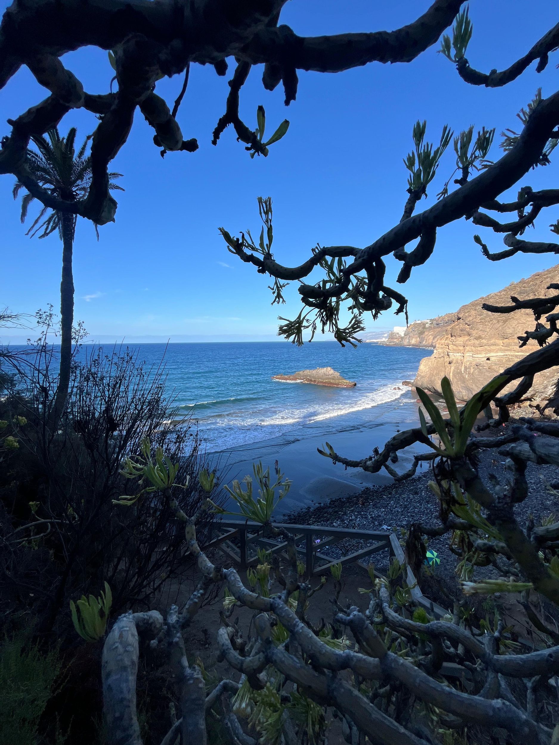 Teneriffa: Puerto de la Cruz, Botanischer Garten & geheimer Strand