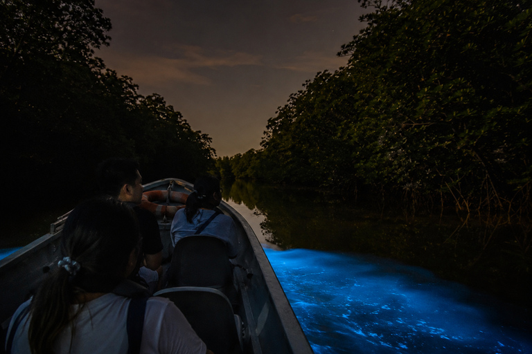 From Kuala Lumpur: Skyline Luge, Fireflies & Blue Tears Tour