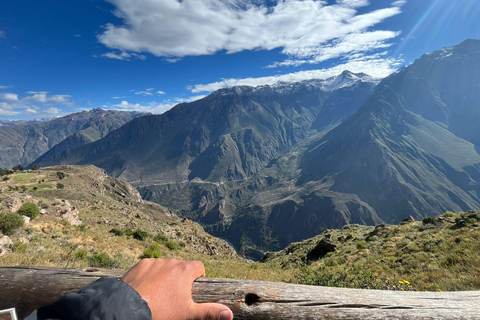 From Arequipa: 2-day Colca tour with geyser visit, ending in Puno