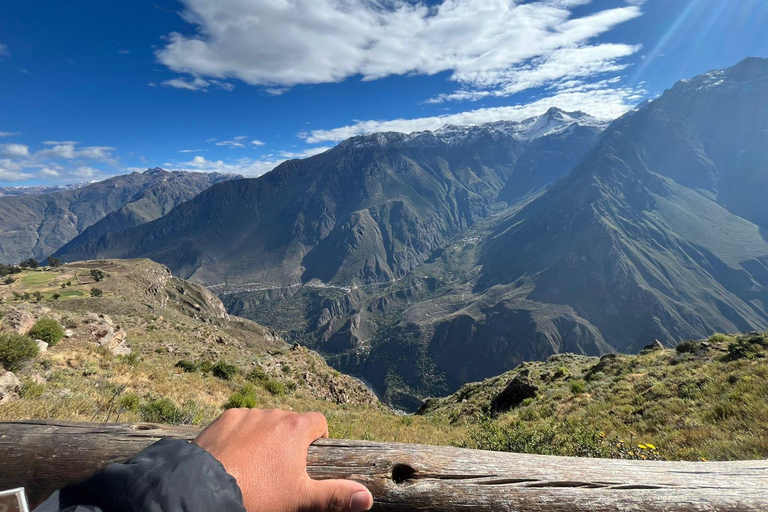From Arequipa: 2-day Colca tour with geyser visit, ending in Puno