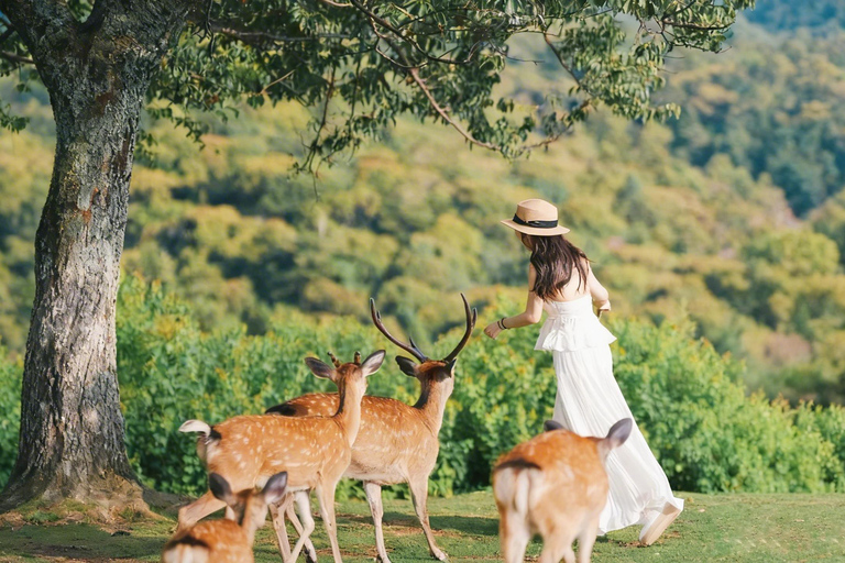 Kyoto & Nara: Guided Walking Tour with Deer Encounter