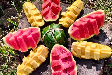 Chiang Mai: Jungle Trek, Elephants care & Bamboo Rafting