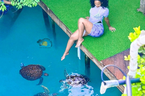 Zanzibar: Jozani Forest & Salaam Cave Sea Turtles Swim Tour Option Without Hotel Transfers