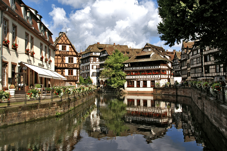 Strasbourg : Wine Tour by bike with a local