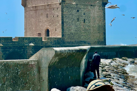 From Marrakech: Essaouira Day Trip with Beach & Medina Essaouira Small Group Day Trip
